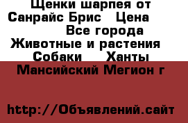 Щенки шарпея от Санрайс Брис › Цена ­ 30 000 - Все города Животные и растения » Собаки   . Ханты-Мансийский,Мегион г.